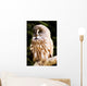Great Gray Owl Wall Mural
