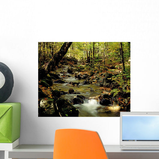 Babbling Brook Wall Mural