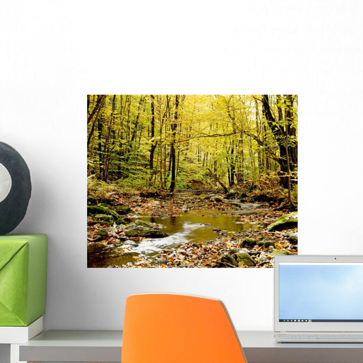 Forest With Creek Flowing Through It Wall Mural
