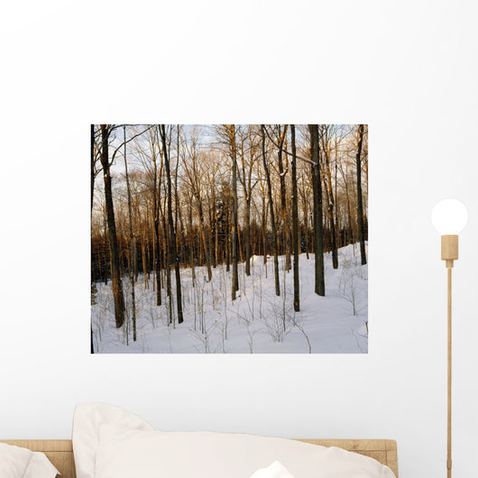 Snowy Forest Wall Mural