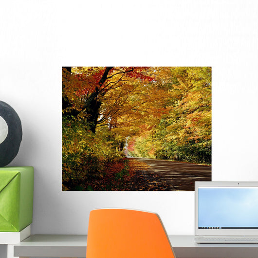 Tree Lined Road In The Fall Wall Mural