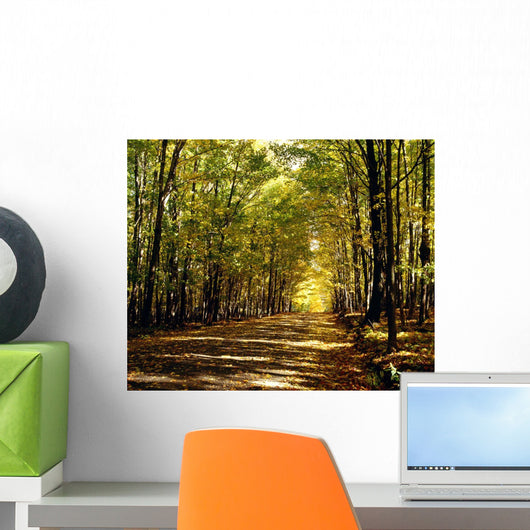 Tree Lined Road In Autumn Wall Mural