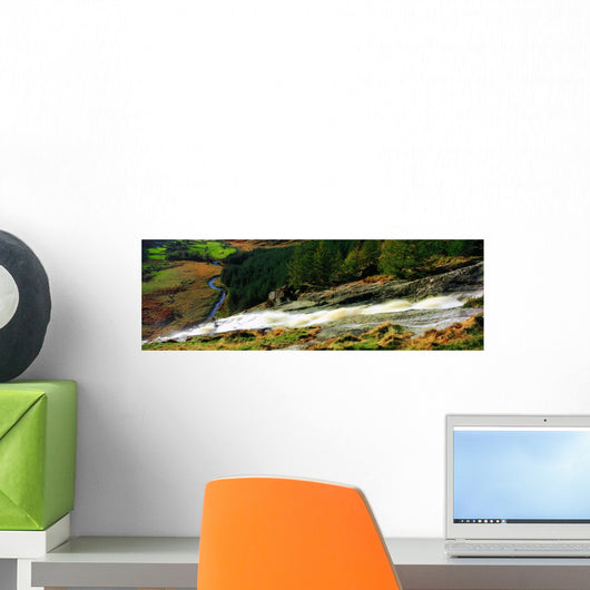 Glenmacnass Waterfall, Co Wicklow, Ireland Wall Mural