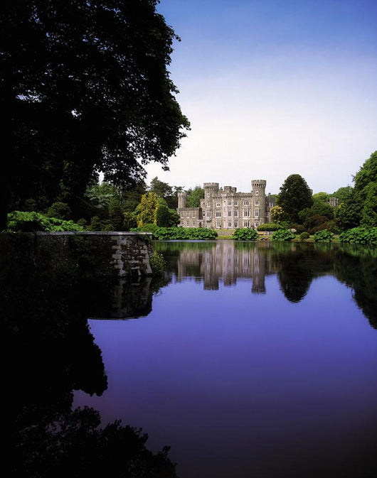 Johnstown Castle, Co Wexford, Ireland, 19Th Century Gothic Revival Wall Mural