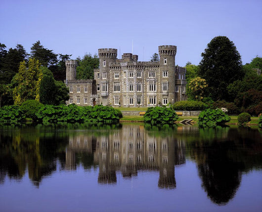 Johnstown Castle, Co Wexford, Ireland, 19Th Century Gothic Revival Wall Mural