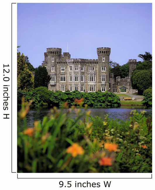 Johnstown Castle, Co Wexford, Ireland, 19Th Century Gothic Revival Wall Mural