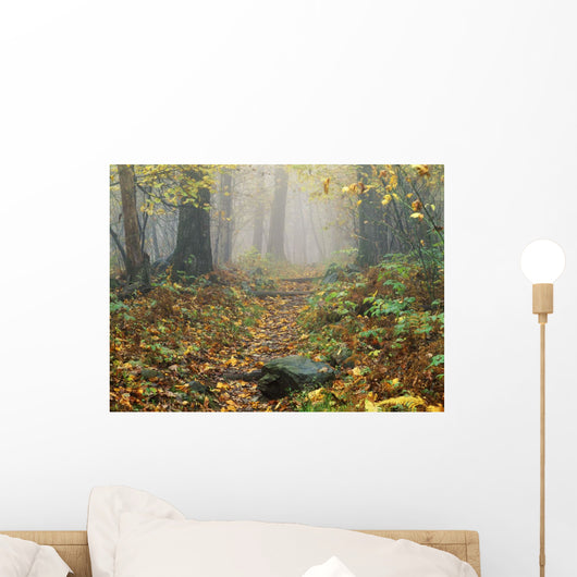 Shenandoah National Park In Virginia Wall Mural