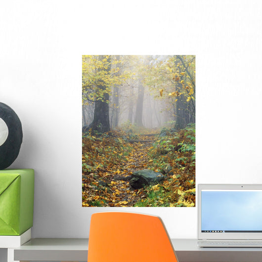 Shenandoah National Park In Virginia, Usa Wall Mural