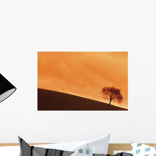 Tree At Dusk In The Black Forest, Germany Wall Mural