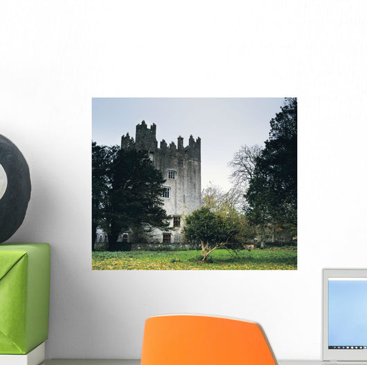 Castle Matrix, Co Limerick, Ireland Wall Mural