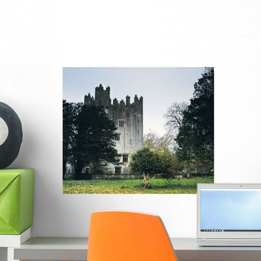 Castle Matrix, Co Limerick, Ireland Wall Mural