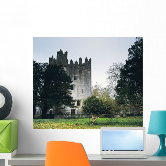 Castle Matrix, Co Limerick, Ireland Wall Mural