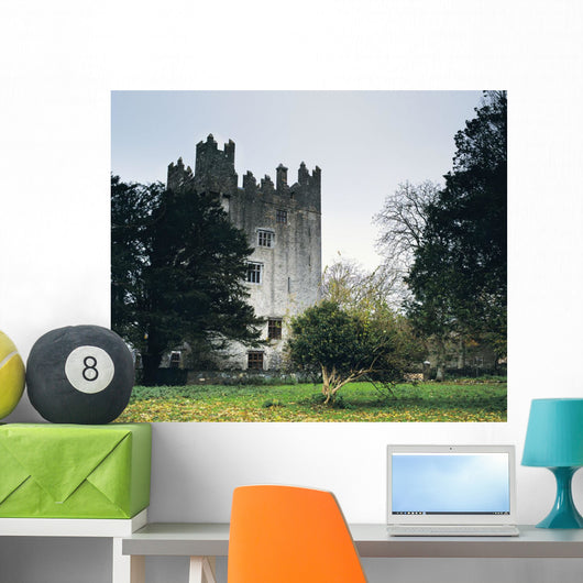 Castle Matrix, Co Limerick, Ireland Wall Mural