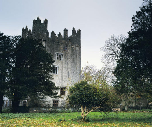 Castle Matrix, Co Limerick, Ireland Wall Mural