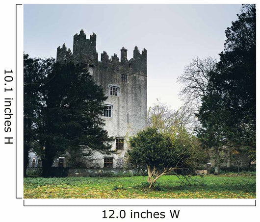 Castle Matrix, Co Limerick, Ireland Wall Mural