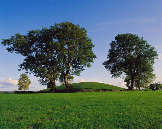 Ancient Capital Of Ulster And Significant Site In Irish Mythology Wall Mural