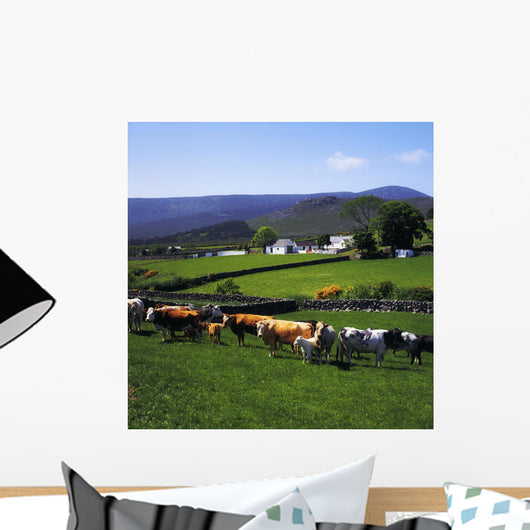 Mourne Mountains, Co Down, Ireland Wall Mural
