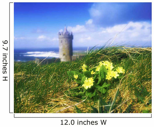 Primrose Flower In Foreground, Doonagore Castle Wall Mural