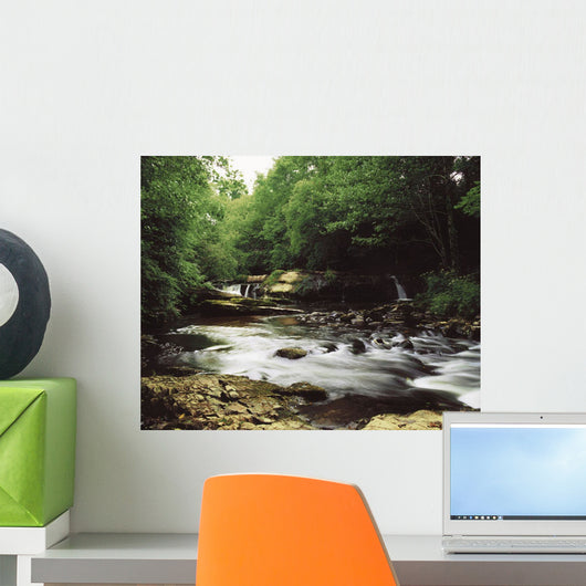 Clare River, Clare Glens, Co Tipperary, Ireland Wall Mural