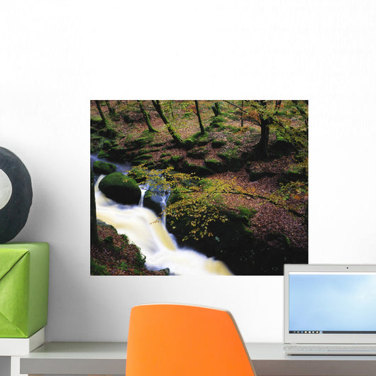Glenmacnass Waterfall, Co Wicklow, Ireland Wall Mural