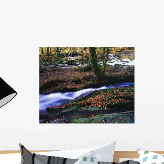 Glenmacnass Waterfall, Co Wicklow, Ireland Wall Mural
