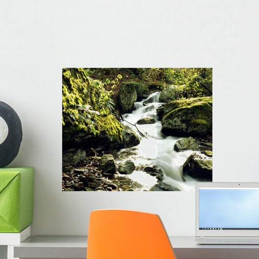 River With Rocks In The Forest Wall Mural