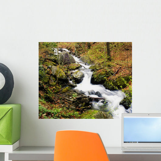 River With Fallen Autumn Leaves In The Forest Wall Mural