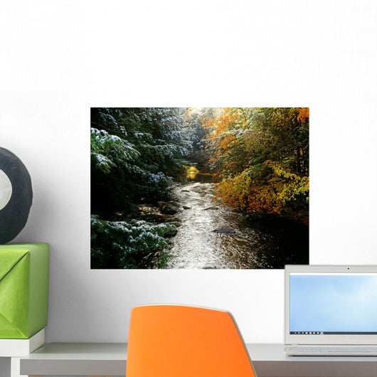 Forest With Creek Running Through It Wall Mural