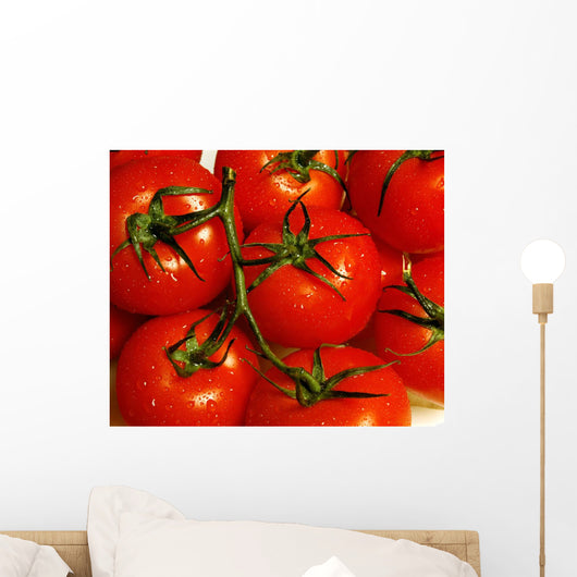 Tomatoes Wall Mural