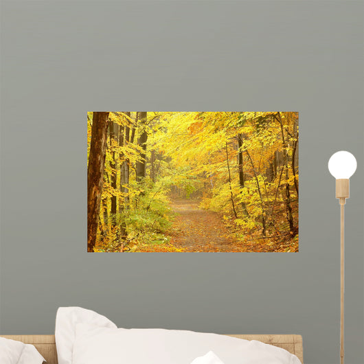 Moody Forest Lane Bright