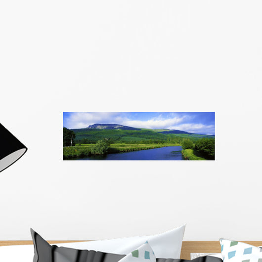 River Roe, Binevenagh, Co Derry, Ireland Wall Mural