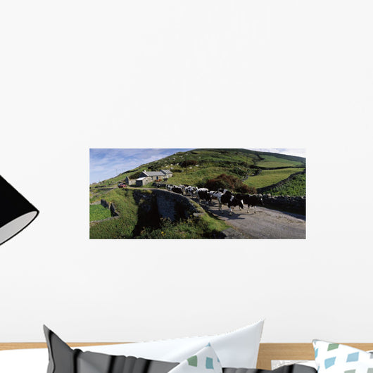 Slea Head, Dingle Peninsula, Co Kerry, Ireland Wall Mural