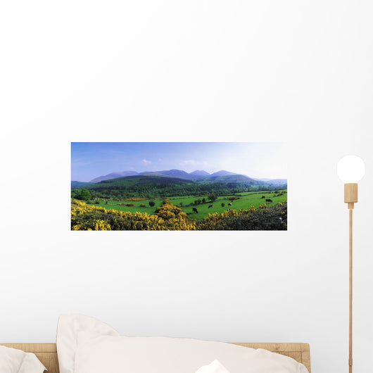 Mourne Mountains, Co Down, Ireland Wall Mural