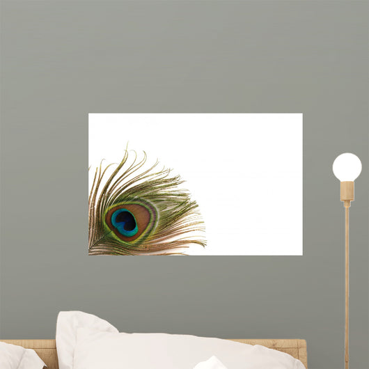 Peacock Border