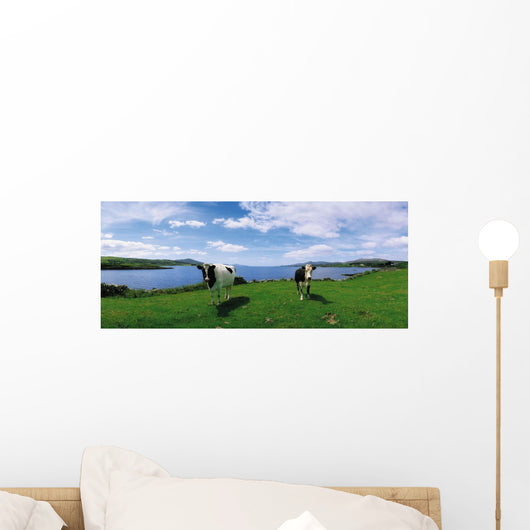 Durrus, Sheep's Head, Co Cork, Ireland Wall Mural
