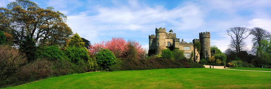 Malahide Castle, Co Dublin, Ireland Wall Mural