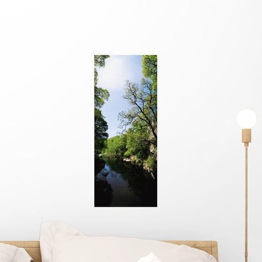 River Roe, Roe Valley, Limavady, Co Derry, Ireland Wall Mural