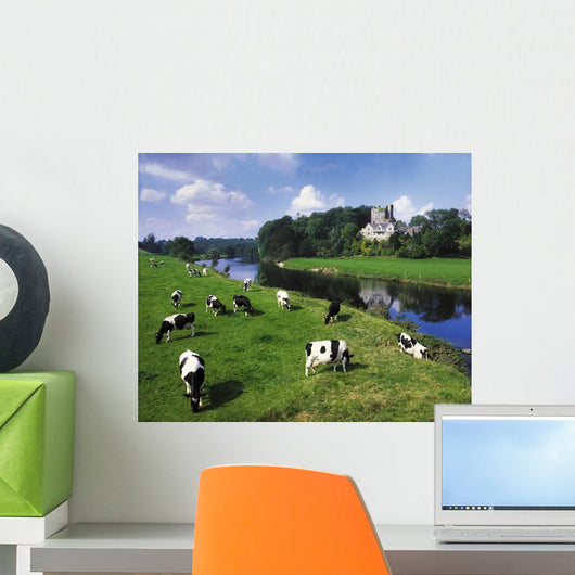 Ballyhooley, Co Cork, Ireland Wall Mural