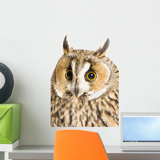Owl White Wall Decal Design 6