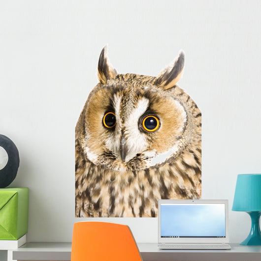 Owl White Wall Decal Design 6