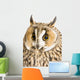 Owl White Wall Decal Design 6