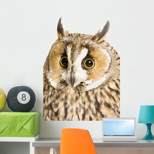 Owl White Wall Decal Design 6