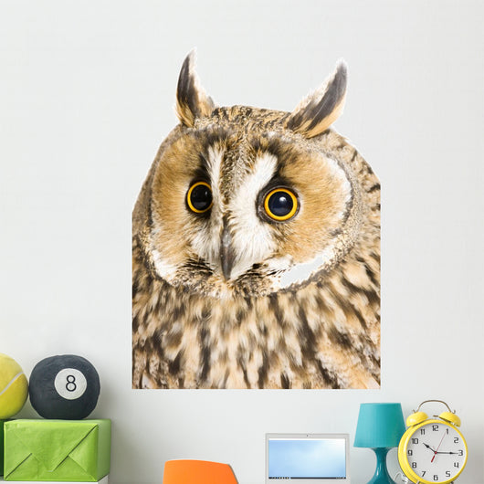 Owl White Wall Decal Design 6