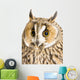 Owl White Wall Decal Design 6