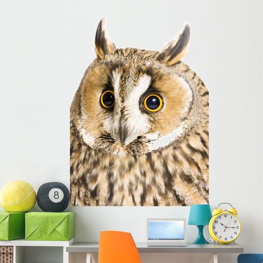 Owl White Wall Decal Design 6