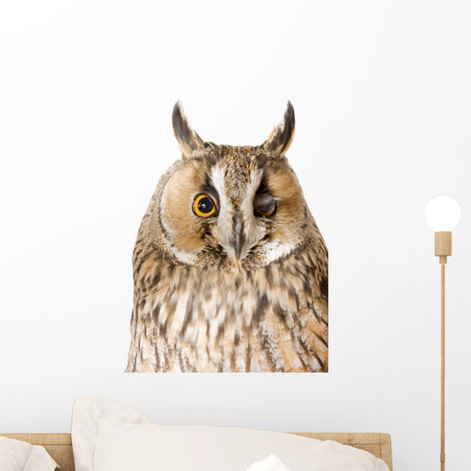 Owl White Wall Mural