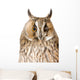 Owl White Wall Mural