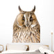 Owl White Wall Mural