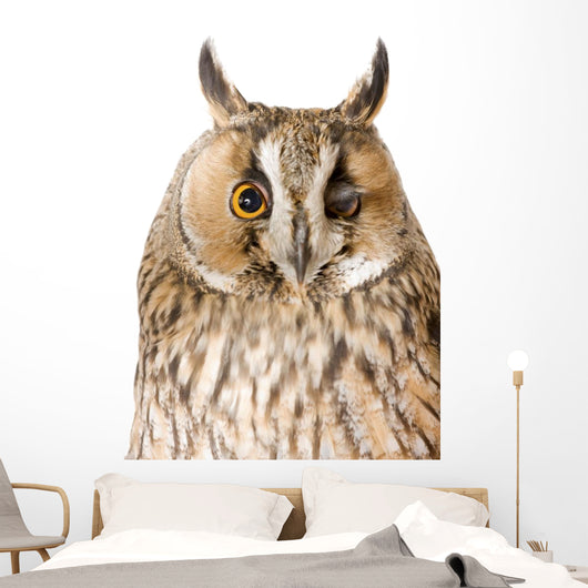 Owl White Wall Mural