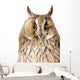 Owl White Wall Mural